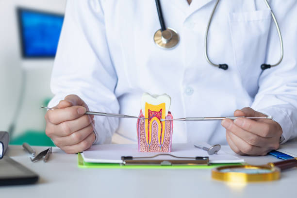Best Broken or Cracked Tooth Emergency Dentist in Cloverly, MD